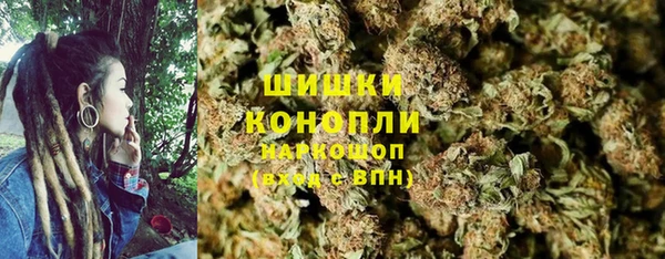прущие грибы Тавда