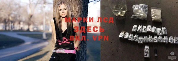 спиды Тайга