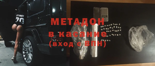 прущие грибы Тавда