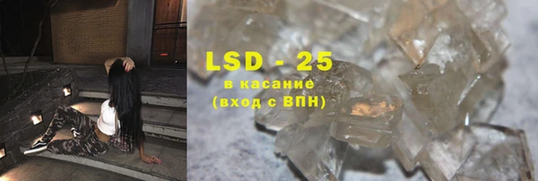 прущие грибы Тавда