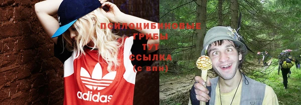 гидропоника Сясьстрой
