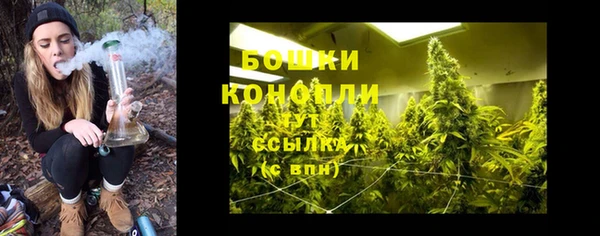спиды Тайга