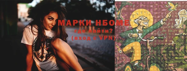 прущие грибы Тавда