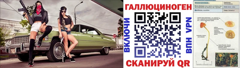 Купить закладки  Котельнич  Псилоцибиновые грибы мицелий 