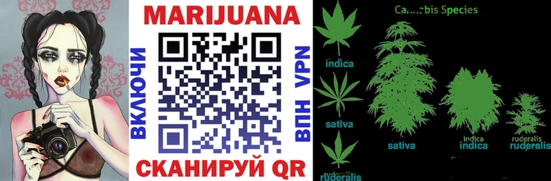 Шишки марихуана SATIVA & INDICA  Купить  Котельнич 